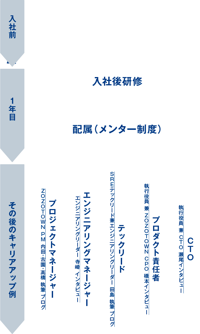 キャリアステップの図